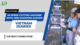 Vietnam Hi Speed Cashew Cutting Machine With Scooping LineThe Best Combo EverGame Changing