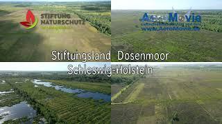 Stiftungsland Dosenmoor Schleswig-Holstein