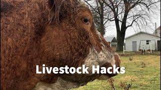 Livestock Hacks