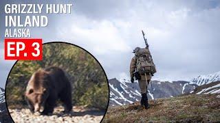 MOUNTAIN GRIZZLY HUNT | 4K | ALASKA | EP. 3