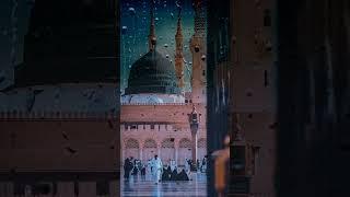 Bokhari#sunni#network