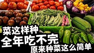 全年种菜时间表（必须收藏）：详细解释节令和蔬菜品种的关系，什么时间种什么菜不再烦恼！菜这样种，一年可以收三季，全年都有吃不完的菜