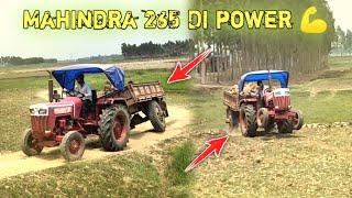 Mahindra 265 DI power  || JCB loading trolley in mud || Tractor Guru Subha ||