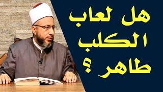 هل لعاب الكلب طاهر ؟ الأستاذ الدكتور محمد سيد سلطان