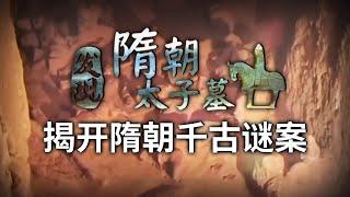 永存史册的超级大墓 隋朝太子墓发现！揭开一个关于隋朝千古谜案！——隋朝太子墓特辑 丨 中华国宝