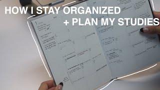 how I stay organized + plan my studies as a grad student