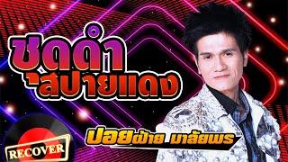 ชุดดำสปายแดง - ปอยฝ้าย มาลัยพร [OFFICIAL Audio]