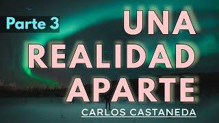 UNA REALIDAD APARTE | C. Castaneda | Parte 3 | Audiolibro completo | Español | Voz humana