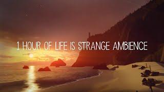 1 hour of relaxing Life is Strange beach ambience