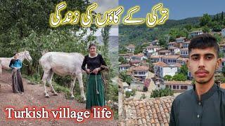 Turkish  village life|Authentic Turkish Cuision|Turkish Rural Life Documentry|Japan Village life