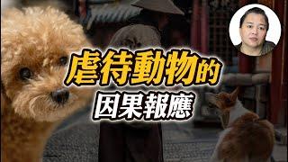 虐待動物的因果報應！善惡業力循環，累世果報真實故事！