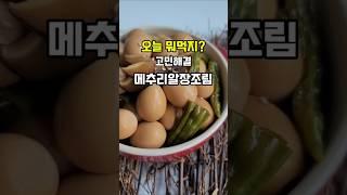 오늘 뭐먹지? 아이반찬 고민될 때 감칠맛나고 맛있는 메추리알장조림 어떠세요? #레시피 #요리 #푸드 #반찬 #저녁반찬 #메추리알장조림 #꽈리고추메추리알장조림 #메추리알조림