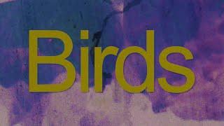 Alexander William - Birds (Lyric Video)