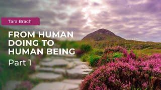 Learning to Slow Down: From Human Doing to Human Being with Tara Brach (Part 1)