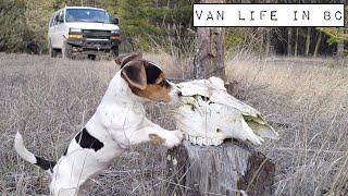 Van Life BC - Stews for Two - Mt. Tegart