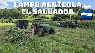 Así se trabaja en los campos de El Salvador 