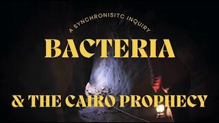 Bacteria & The Cairo Prophecy: Video Essay