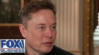 Elon Musk exposes the 'biggest' source of fraud in the world