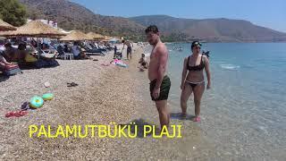 Datça Palamutbükü Plajının Denizi Nasıl? Hadi görelim beach walk Turkey spaziergang am strand Türkei