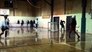 Ball Hockey Fights - Ball Hockey Brawls - Gary Chahal