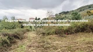 Gülay Küçükalp'ten Çınarcık Merkezde 1236m2 İmarlı Satılık Arsa