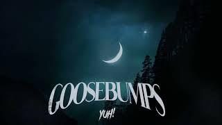 TreOnTheBeat  - Goosebumps (Official Visualizer)