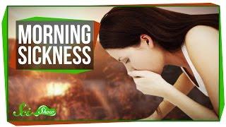 What Causes Morning Sickness?