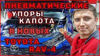 Пневма упоры капота в новых TOYOTA RAV4 50