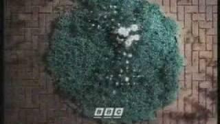 BBC2 Garden Ident (With its own Music)