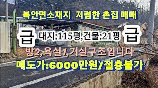 No105영천북안면소재지촌집/대지115평6000만원매매#영천주택매매 #영천부동산매매