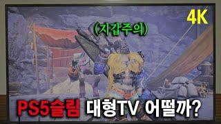 고민 종결!! 몬스터 헌터 와일즈 찐후기... PS5 슬림+초대형 TV 조합