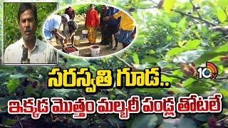 Mulberry Fruit Farming | సరస్వతి గూడ.. ఇక్కడ మొత్తం మల్బరీ పండ్ల తోటలే | Matti Manishi | 10TV Agri