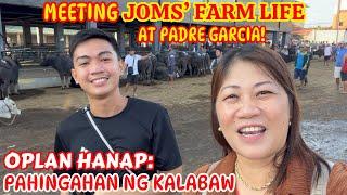 MEETING JOMS' FARM LIFE AT PADRE GARCIA | OPLAN HANAP: PAHINGAHAN NG KALABAW | SOLLE'S GANDANG BUHAY