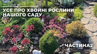 Усе про ХВОЙНІ РОСЛИНИ нашого саду|Частина2