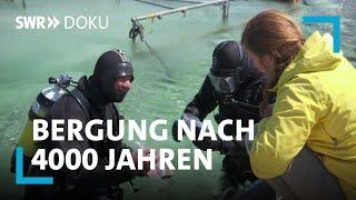 Der Schatz im Bodensee - Bergung eines 4000 Jahre alten Einbaums | SWR Doku