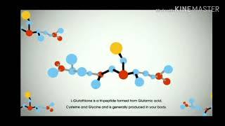 What is Glutathione