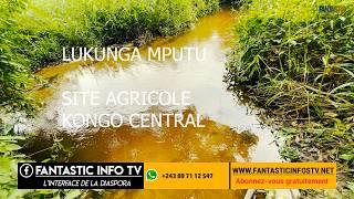 Lukunga mputu au kongo central découverte des opportunités en Agri business en RDC