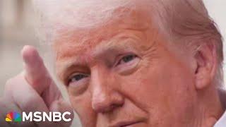‘Everything that is not bolted down is for sale’ Fmr. DOJ attorney responds to Trump pardons