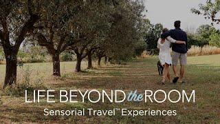 Life Beyond The Room - Sensorial Travel™ Experiences