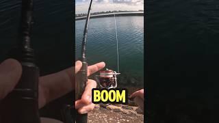 What I LOVE about this ULTRALIGHT fishing reel #ultralightfishing #troutfishing #bassfishing