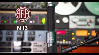 AEA N13 ribbon microphone Demo