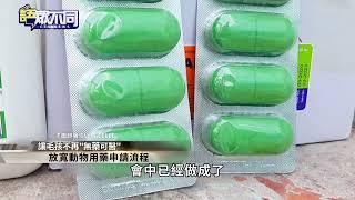 醫療糾紛揭發黑幕 毛小孩無藥可醫?!｜語眾不同｜來賓：翁浚岳｜華視新聞 20220603