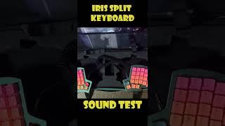 Iris aluminium custom split keyboard unboxing sound test 650$ #custom #soundtest #asmr #keyboard