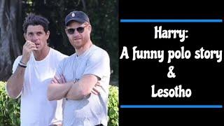 Harry:  A Funny Polo Story & Harry in Lesotho