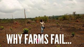 Top 5 REASONS WHY FARMS CLOSE || AGRICULTURE BUSINESS FAILURES