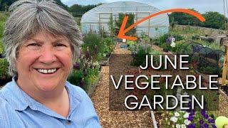 All the Vegetables in Kitchen Garden in June | Veg Garden Tour