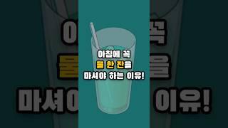 아침에 물 꼭 마셔야 하는 이유