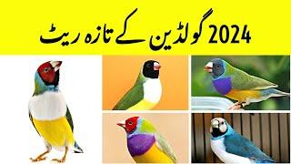 2024 Gouldian Current Rates | Gouldian Finch Different Types | Gouldian Finch Farming Business