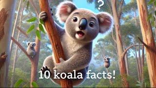 10 Surprising Koala Facts You Didn't Know