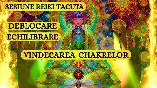 SESIUNE REIKI TACUTA - VINDECAREA CHAKRELOR (DELOCARE SI ECHILIBRARE)